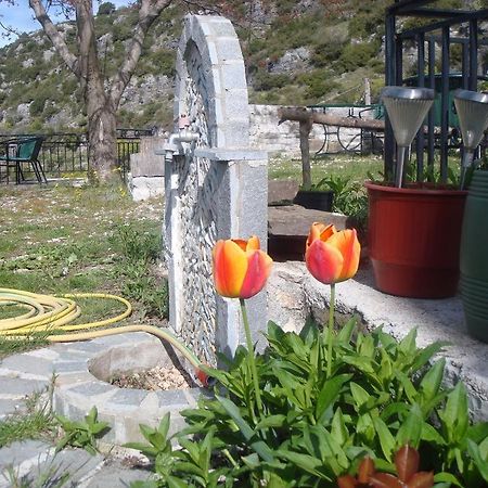 Terpsichori Guesthouse Kapesovo ภายนอก รูปภาพ