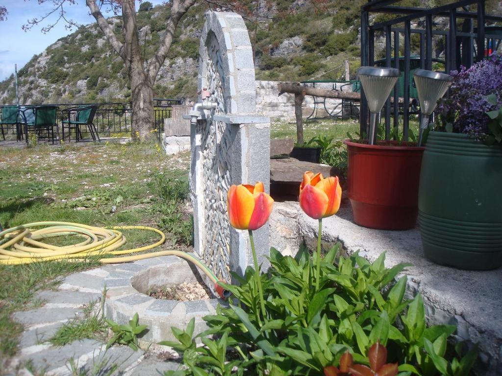 Terpsichori Guesthouse Kapesovo ภายนอก รูปภาพ